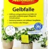Aeroxon Gelbfalle - 10 Stück 1 Aeroxon Gelbfalle - 10 Stück -SubStral Aeroxon20Gelbfalle 34558 V01