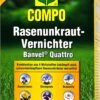 Compo Rasenunkraut-Vernichter Banvel Quattro - 150 Ml 1 Compo Rasenunkraut-Vernichter Banvel Quattro - 150 Ml -SubStral Compo20Rasenunkraut Vernichter20Banvel20Quattro 33421 V01
