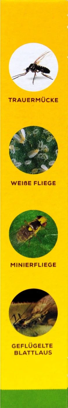 Solabiol Gelbsticker - 10 Stück 5 Solabiol Gelbsticker - 10 Stück – Bild 3